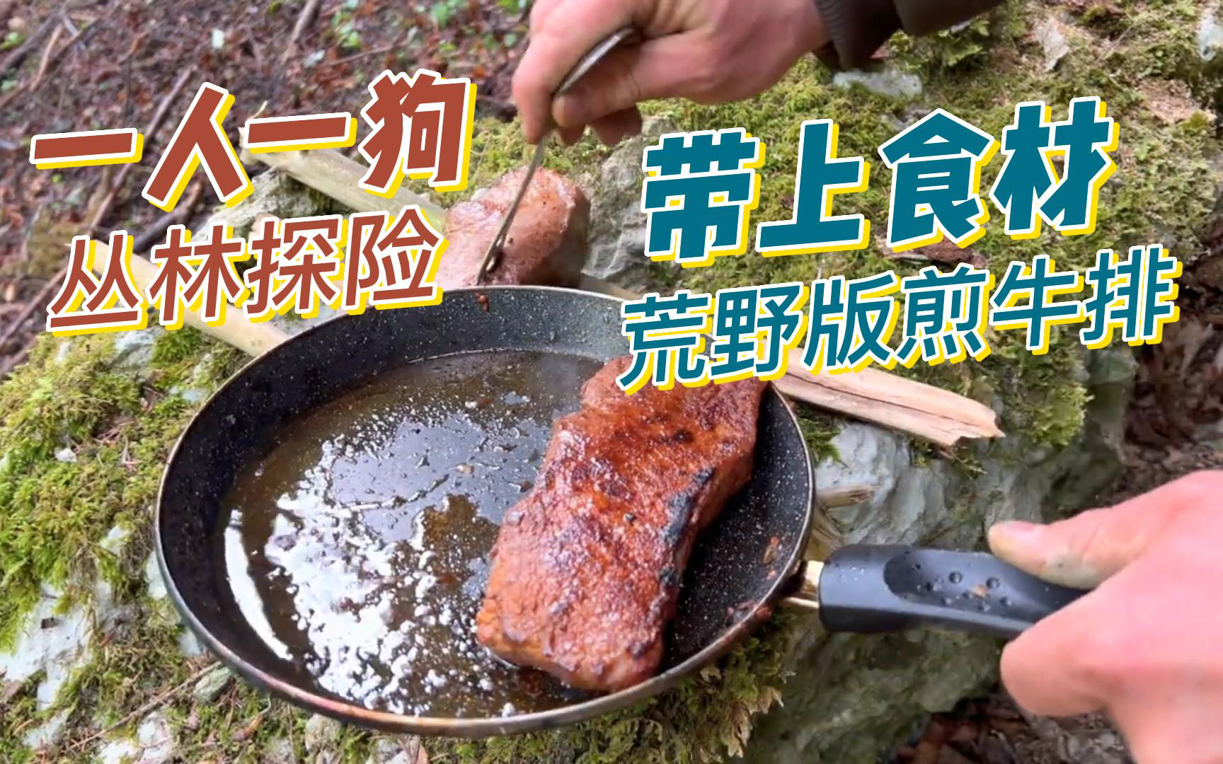 挨饿荒野手游下载_荒野挨饿破解版无限资源_挨饿荒野下载