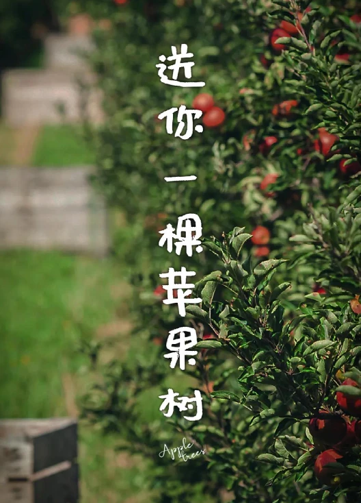 种树老农彩虹_种树老农小会_老农种树