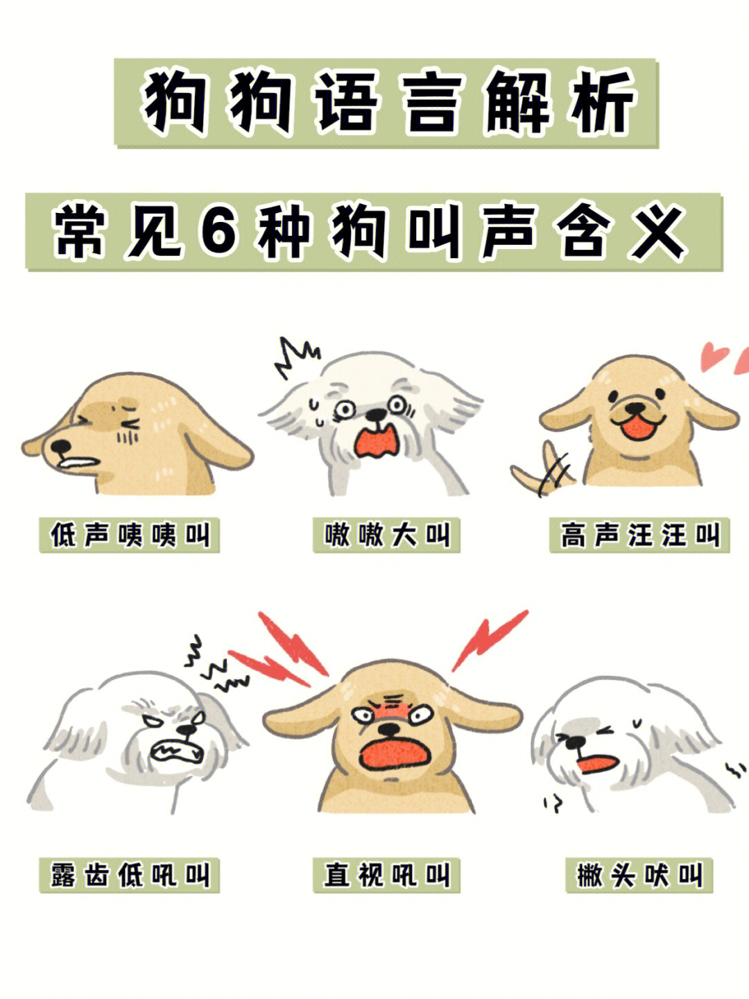 英语狗叫声怎么读_你在狗叫什么英语怎么说_英语狗叫的声音怎么读