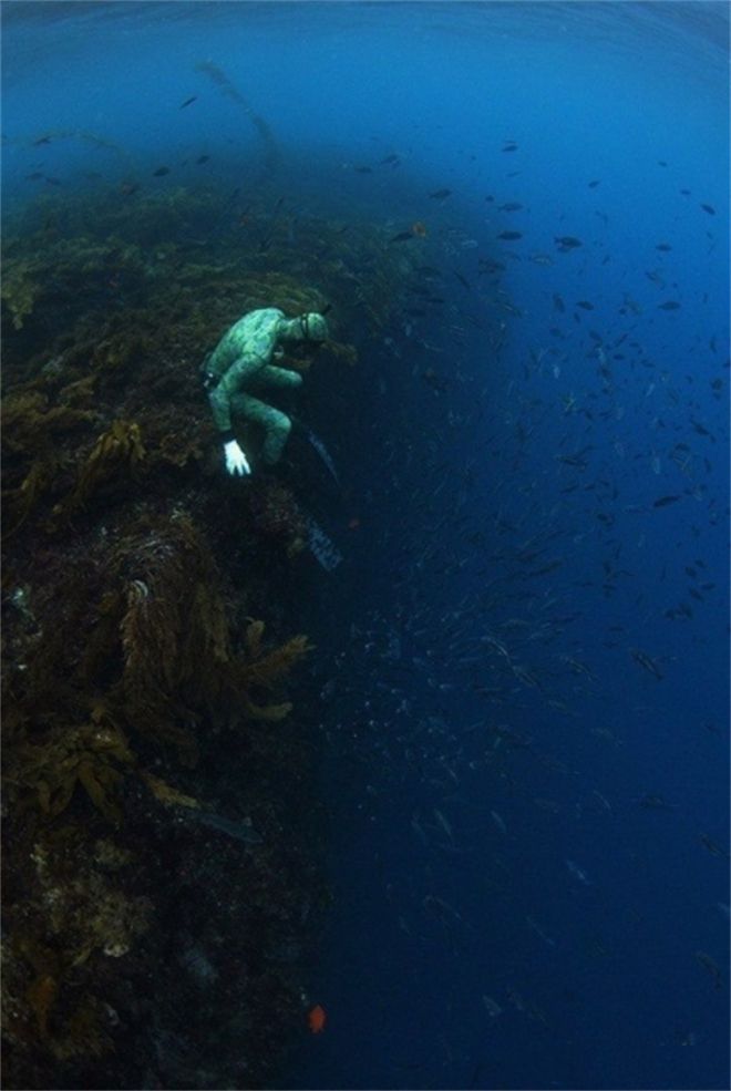 山海经异兽录手游_山海经异兽录新手_山海经异兽录氪金阵容