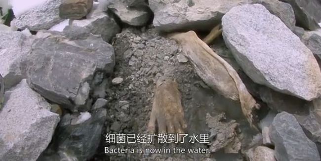 生存战争变身模组_生存战争闹翻天_生存战争惊变100天