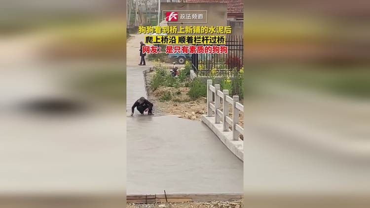 手机上脑筋急转弯游戏答案_脑筋急转弯游戏app_手机上的脑筋急转弯