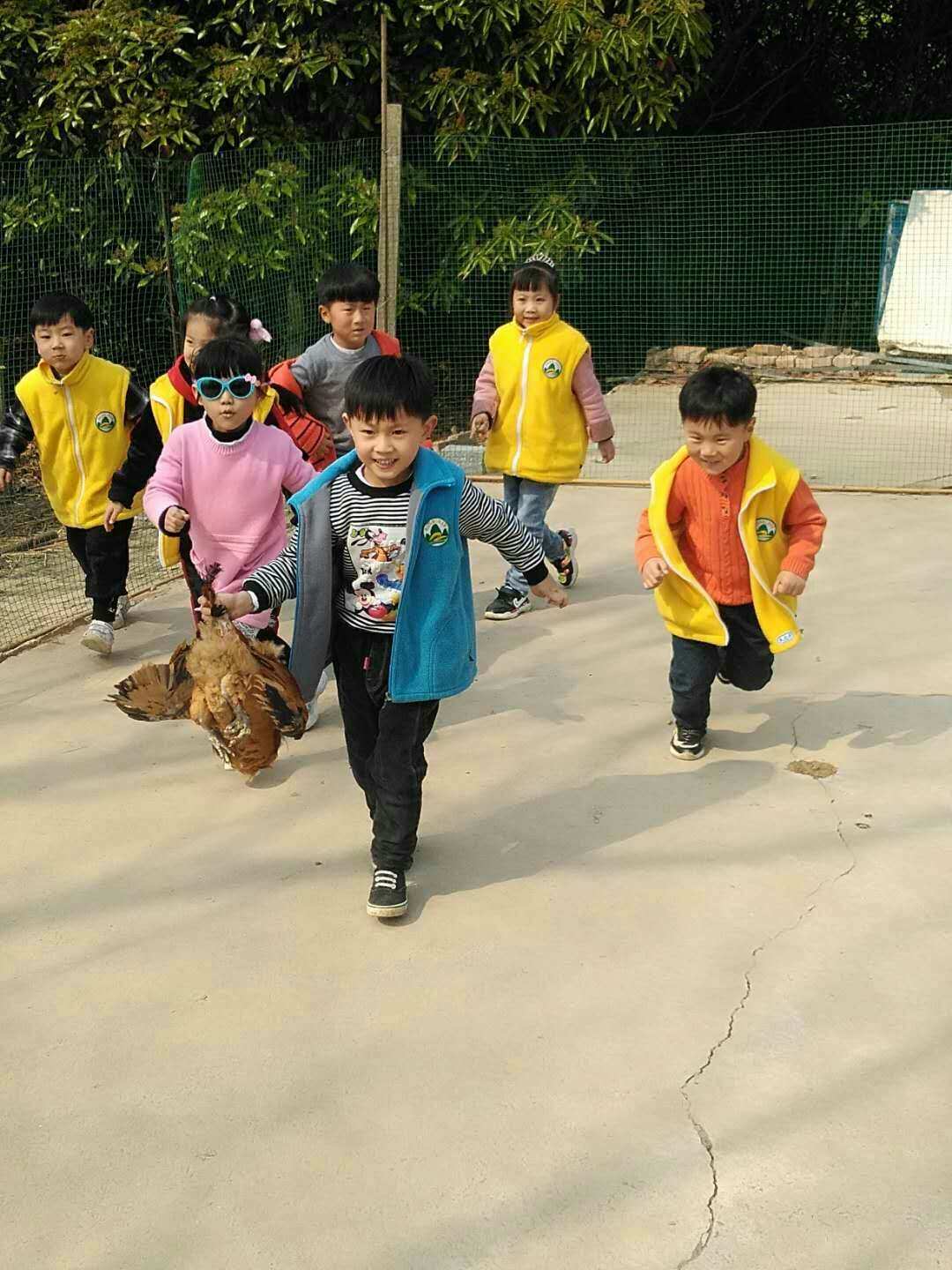 儿童玩吃鸡有什么好处_手机游戏小孩吃鸡_儿童游戏吃鸡