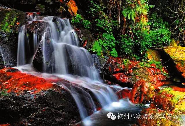 手机游戏摸鱼_手机摸鱼游戏网站_手机摸鱼游戏知乎
