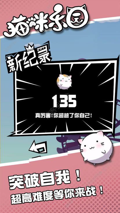 手机游戏程序猫_猫游戏软件_猫手机游戏
