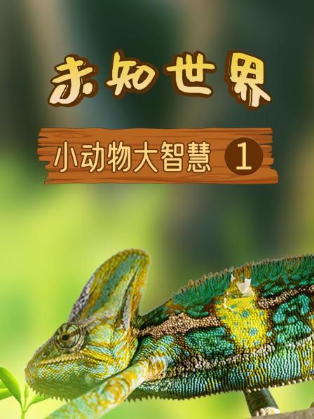 手机上玩的养成游戏有哪些_玩养成游戏是什么心态_玩养成类游戏的人是什么心理