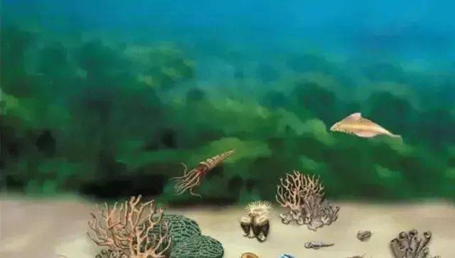 手机游戏太古蛮荒_太古蛮荒小说_太古蛮荒手机游戏叫什么