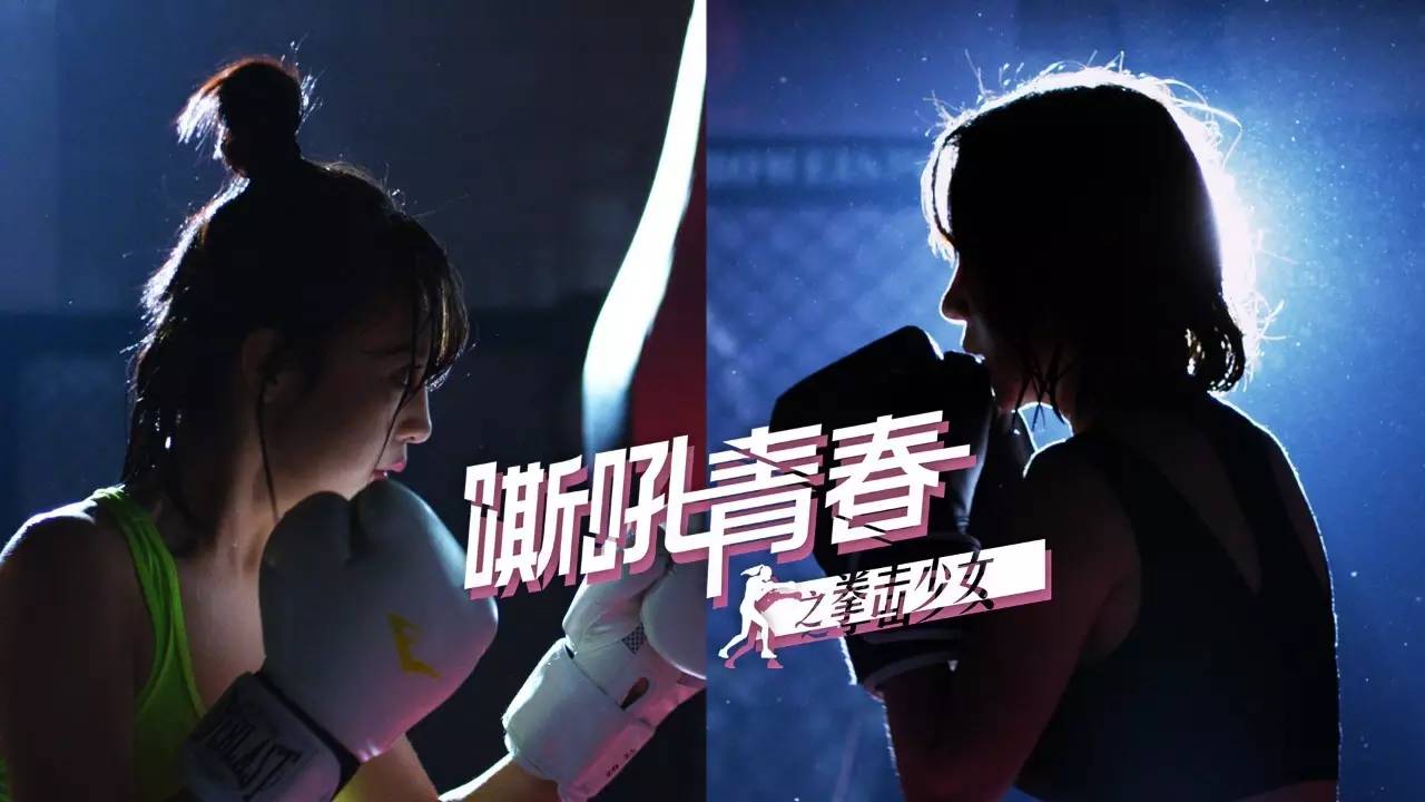 拳击手游戏_手机拳击游戏单机版_手机上拳击游戏