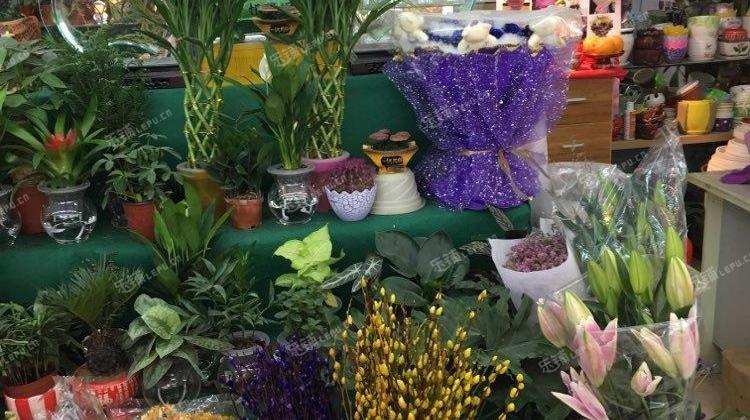 种花经营花店手机游戏_种植花店_经营花店的小游戏