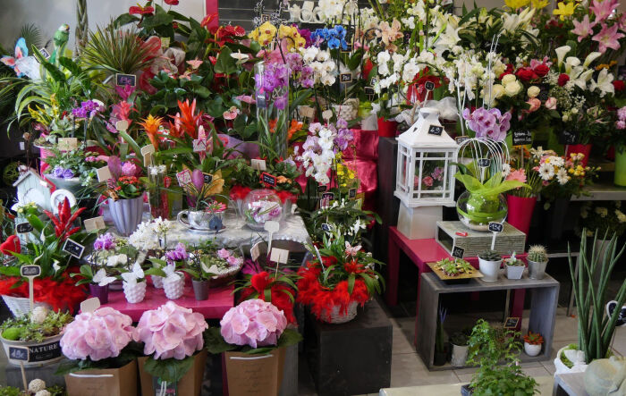 种花经营花店手机游戏_种植花店_经营花店的小游戏