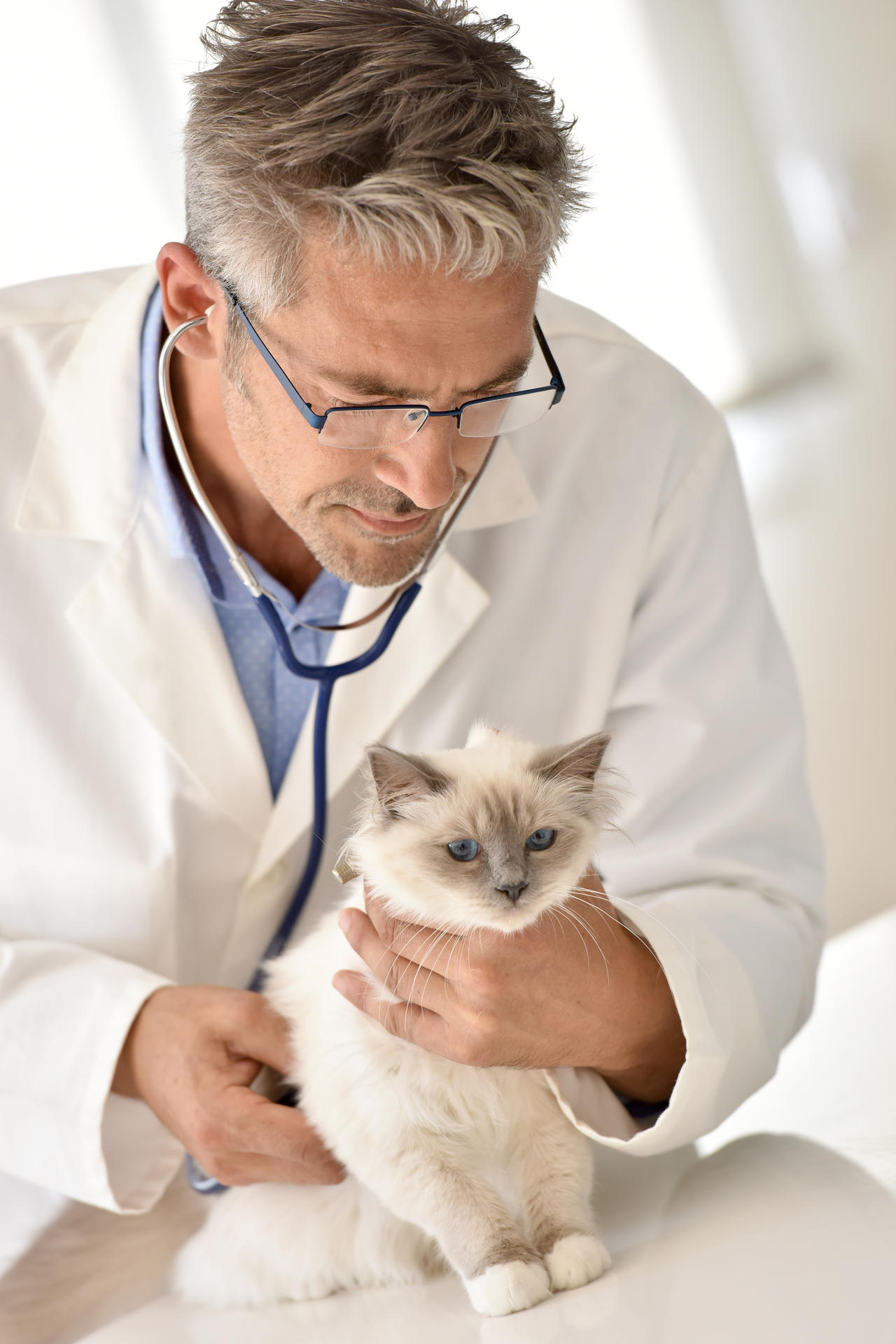 猫医生care_手机游戏猫医生_猫医生软件
