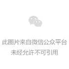 少林花旗结局_花旗少林_花旗少林解读