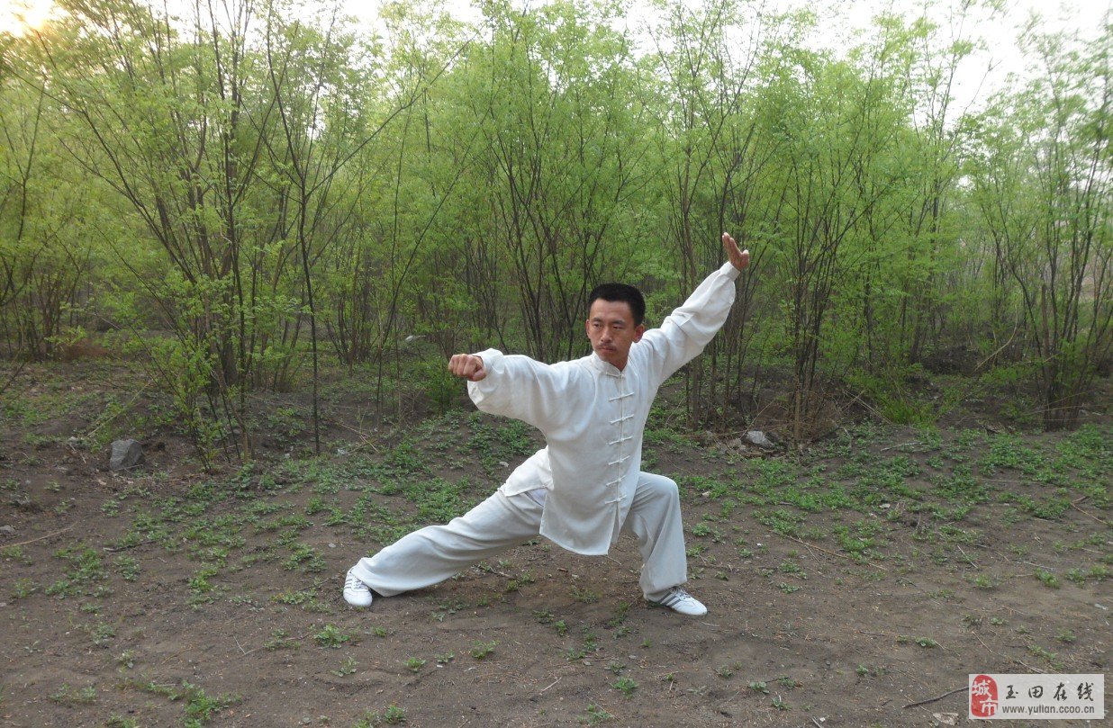 花旗少林_花旗少林解读_少林花旗结局