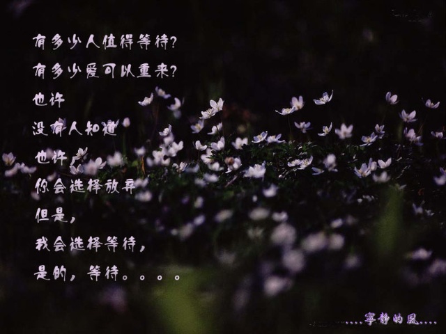 枕边凶灵-枕边寂静：恐惧的源头