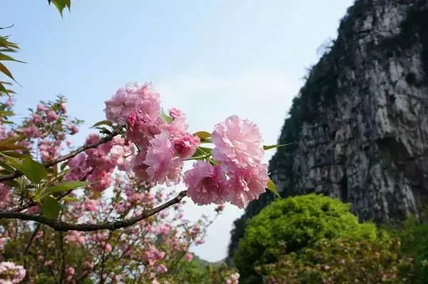 三月三广西放假几天2021_三月三广西放假几天2022_广西三月放假时间