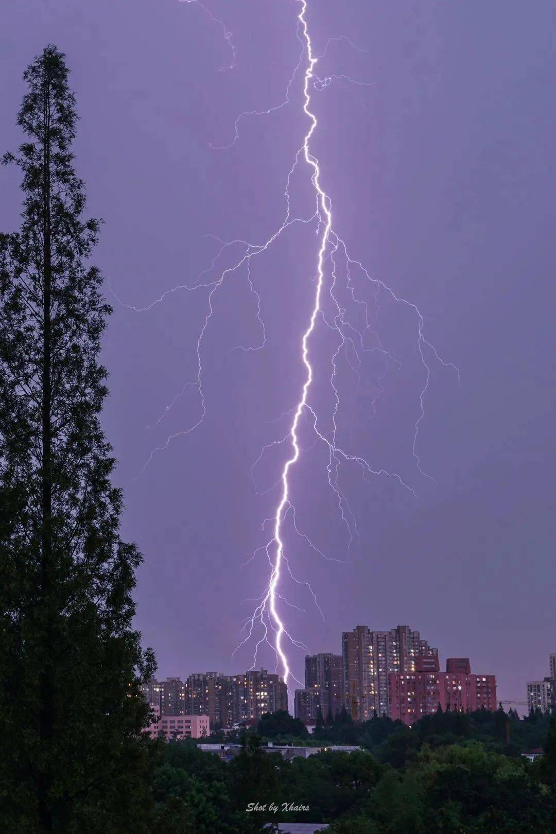 雷疯_疯雷小叔怎么了_疯雷对比王天一