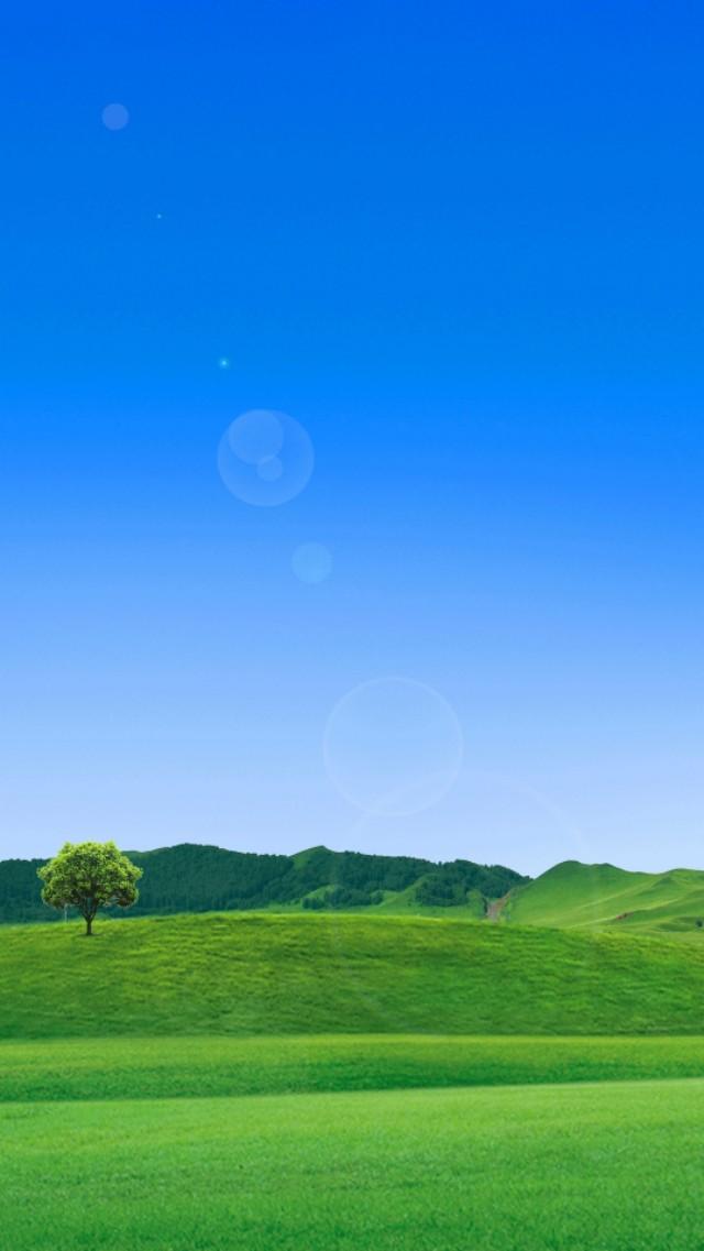 温慧宁景云结局_温慧_李温慧