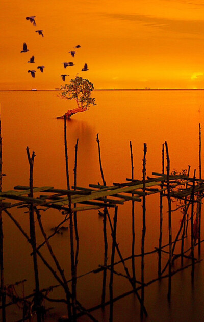 温慧_温慧宁景云结局_李温慧