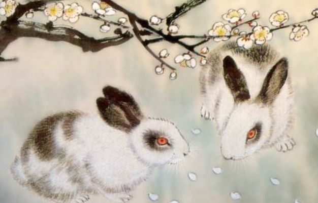 兔属性年份_属兔的年份_属兔的年是什么年