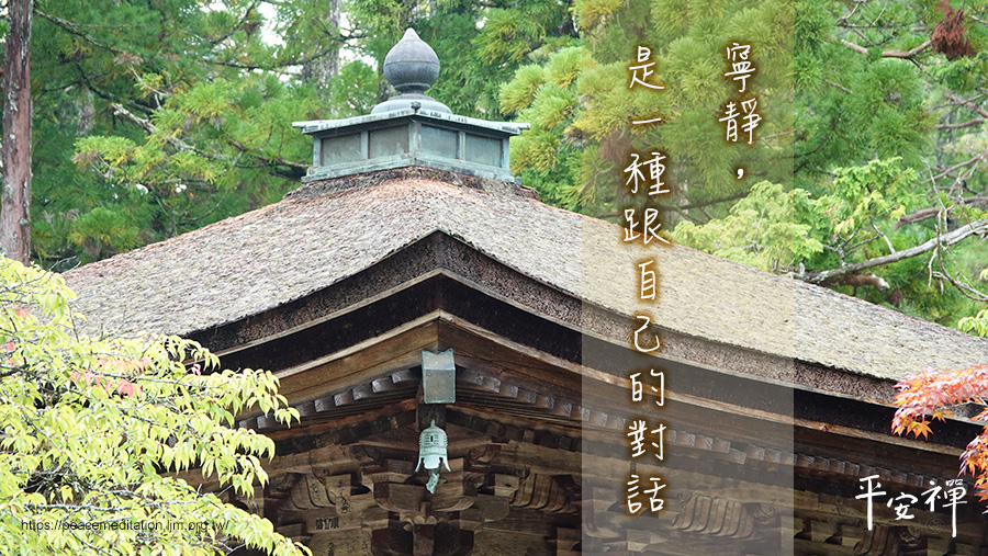 岸本实理实力_岸本齐史岸本圣史_岸本实理