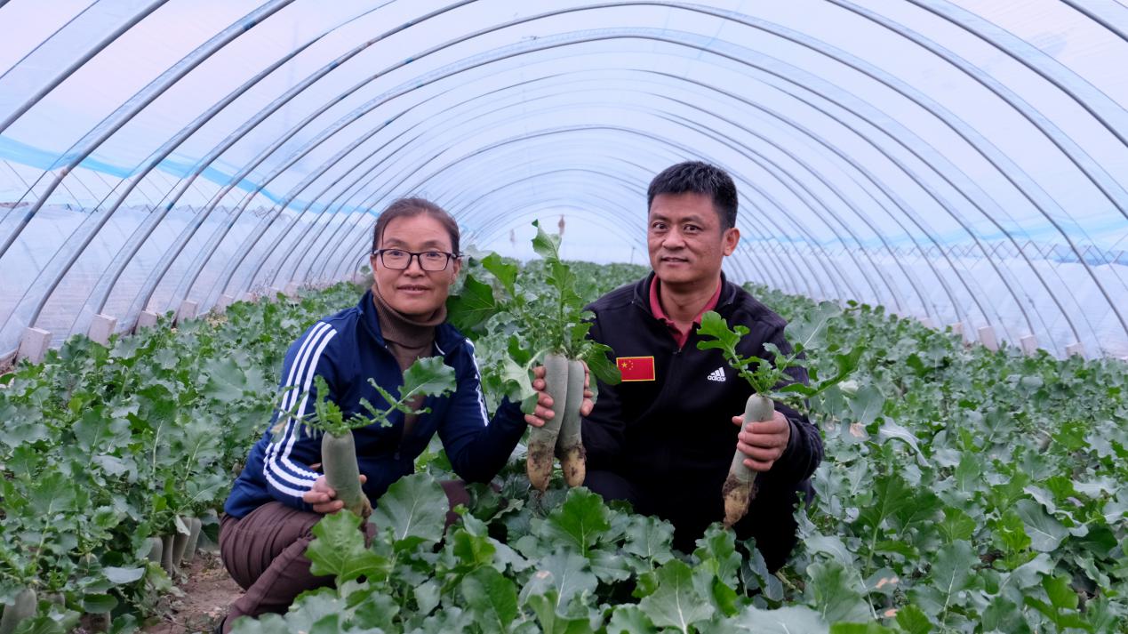 玩手机游戏的模拟器哪个好_手机上面可以玩的模拟游戏_用手机玩游戏的模拟器