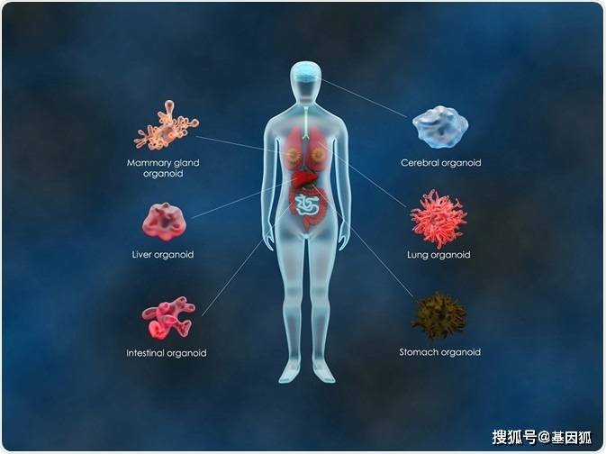 世界之窗浏览器官网_google浏览器官网入口_es文件浏览器官网