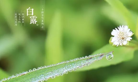 白露节气的含义是什么-白露节气：大自然的蒸笼落下帷幕