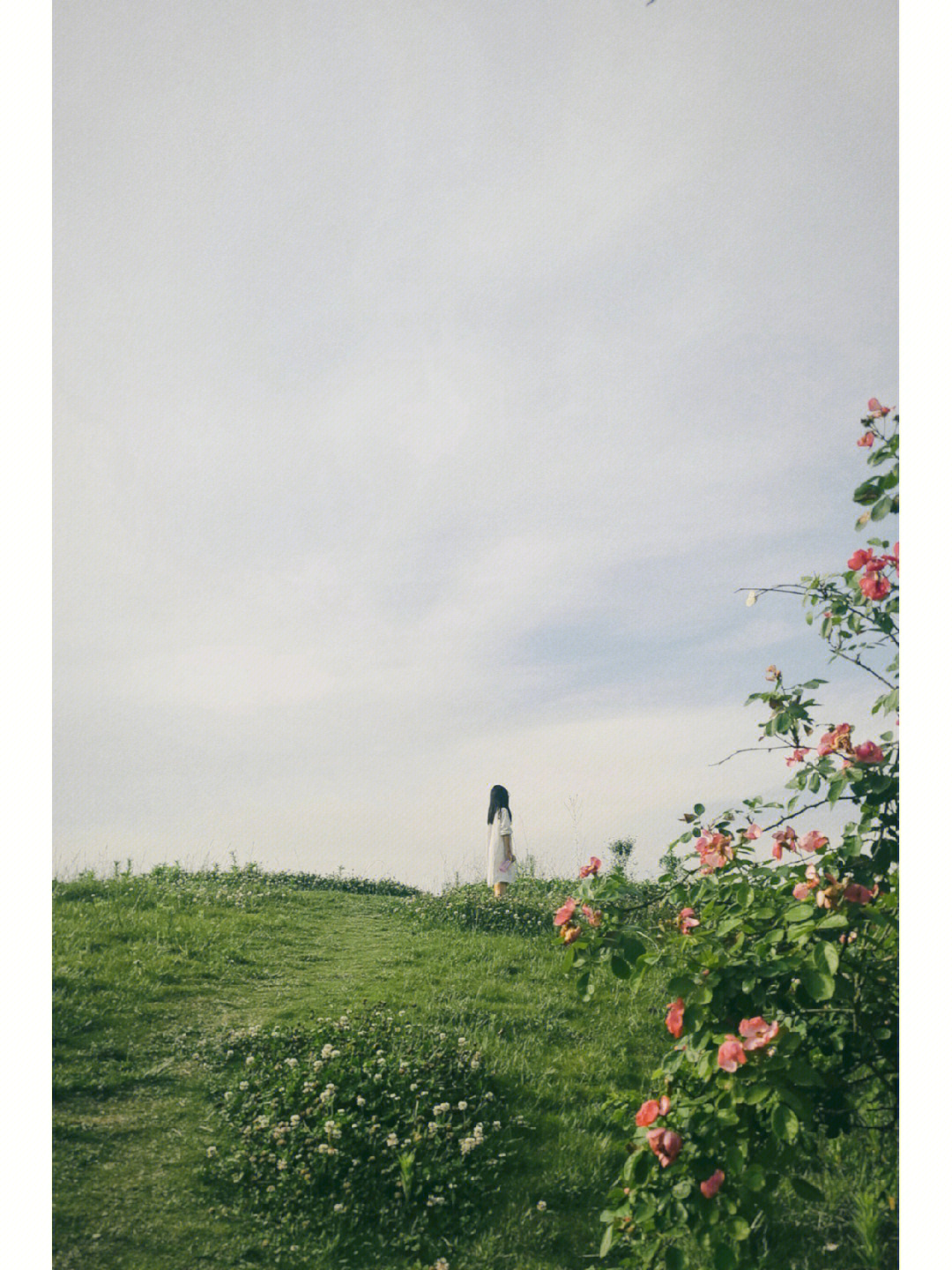 初夏博客_初夏微博_初夏学堂微博