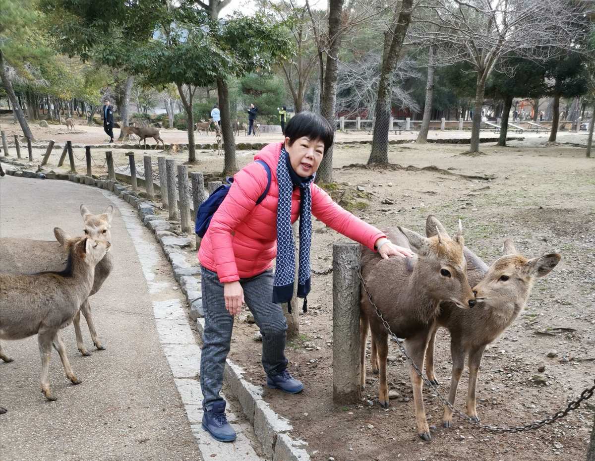 奈良日本简图_奈良日本首都_日本奈良