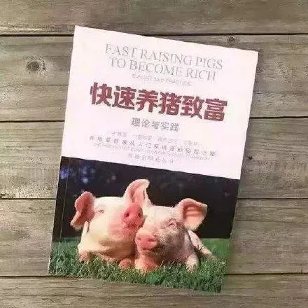 app养猪骗局_手机养猪游戏骗局_养猪挣钱的游戏骗局