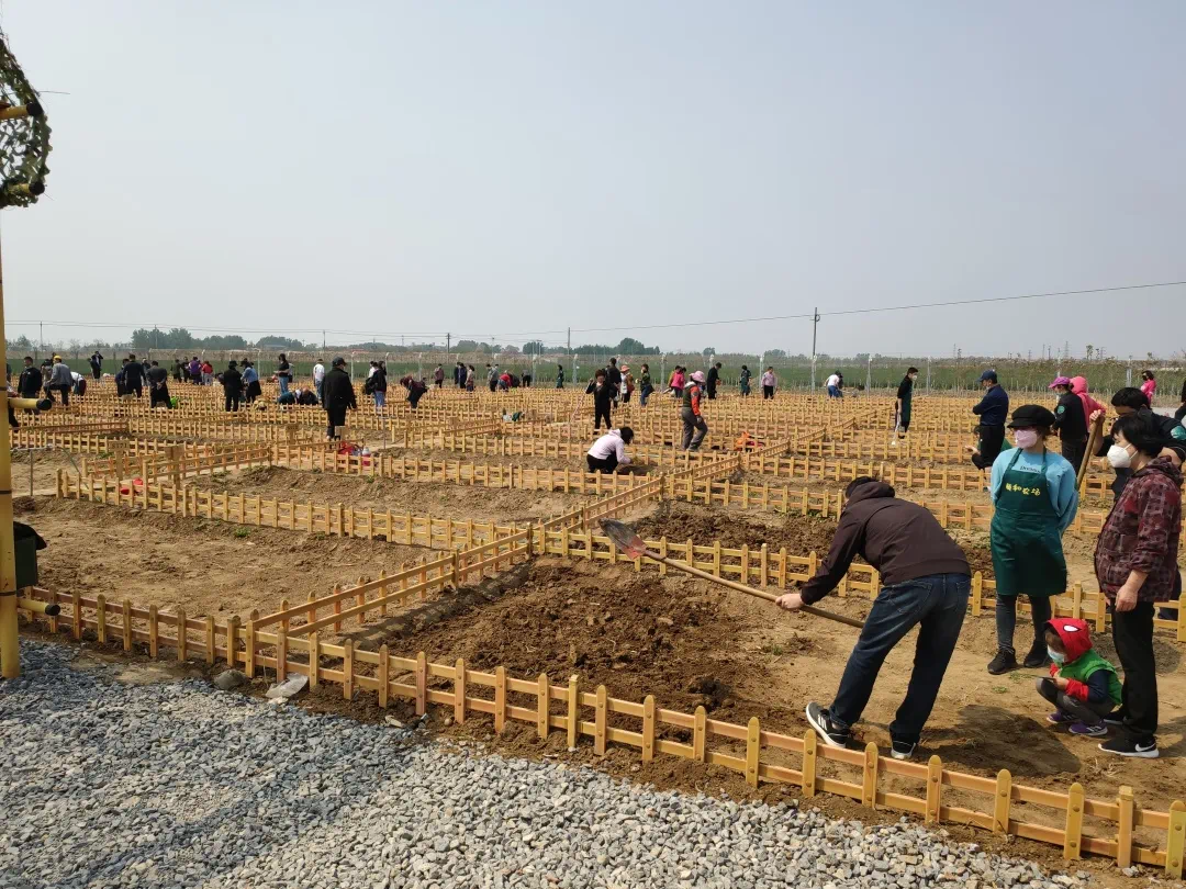 田园联机手机游戏推荐_手机田园联机游戏_田园联机手机游戏大全