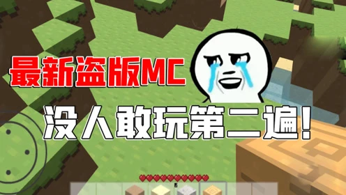 盗版游戏平台手机_手机下盗版游戏违法吗_盗版手机游戏软件
