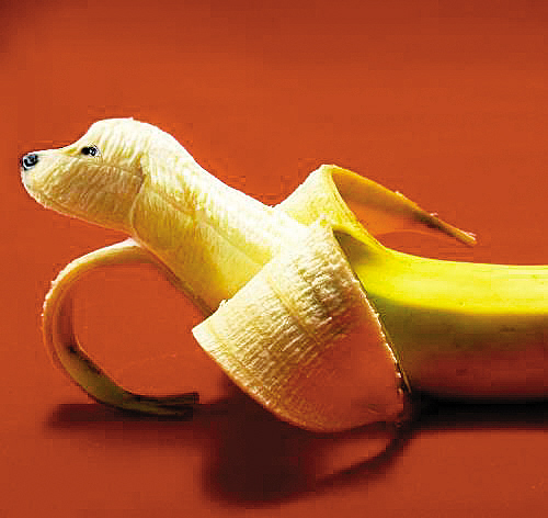 香蕉君图片，让你的照片秒变搞笑神作