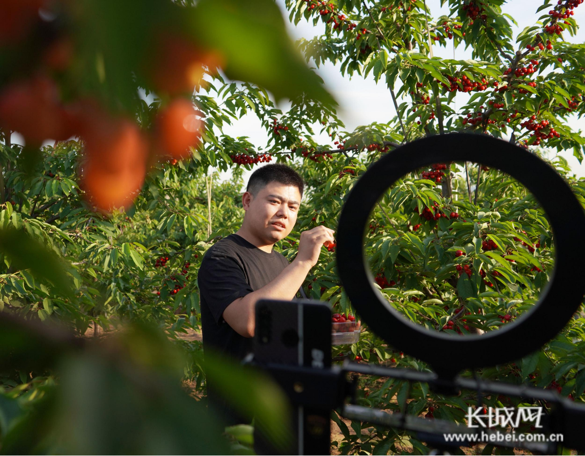 直播心愿单怎么设置_直播心得体会_比心直播