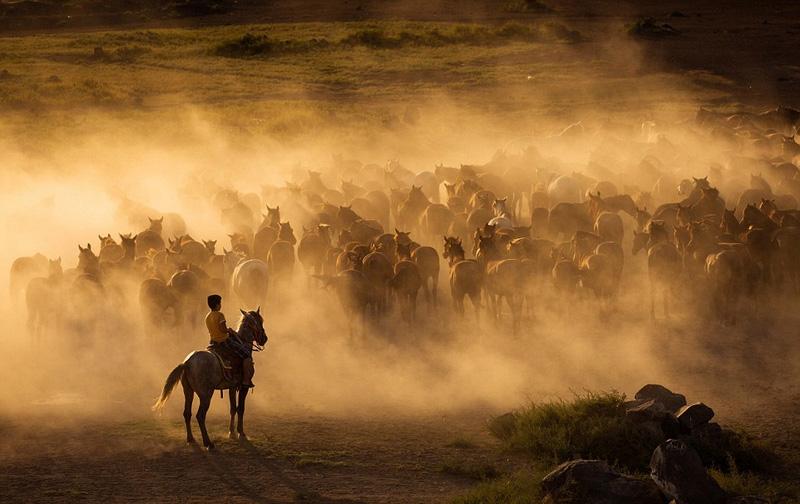 好玩的西部手机游戏_手机西部游戏_西部手游单机游戏推荐