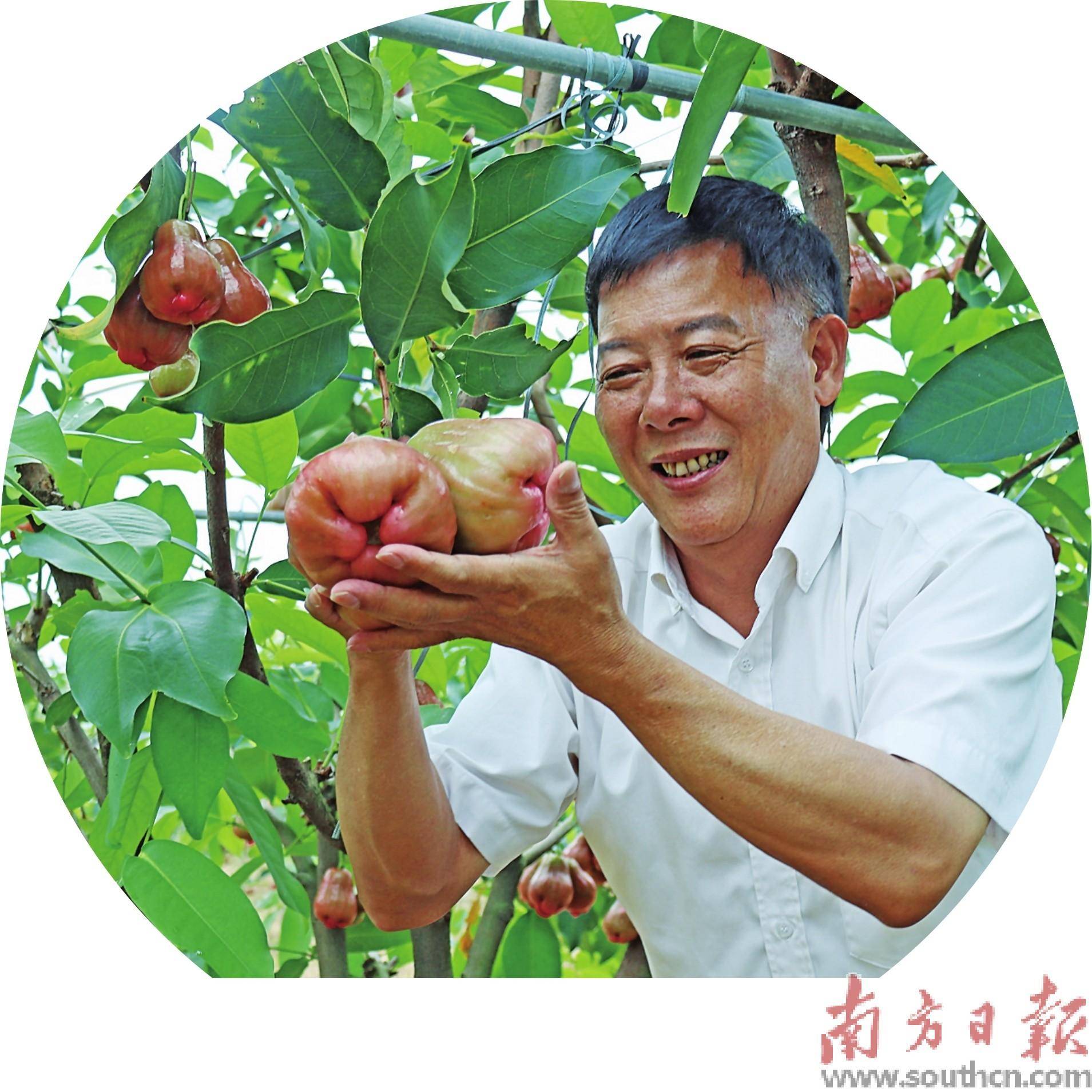 后果长期玩电脑手机游戏的危害_长期玩电脑和手机有哪些危害_长期玩电脑手机游戏的后果
