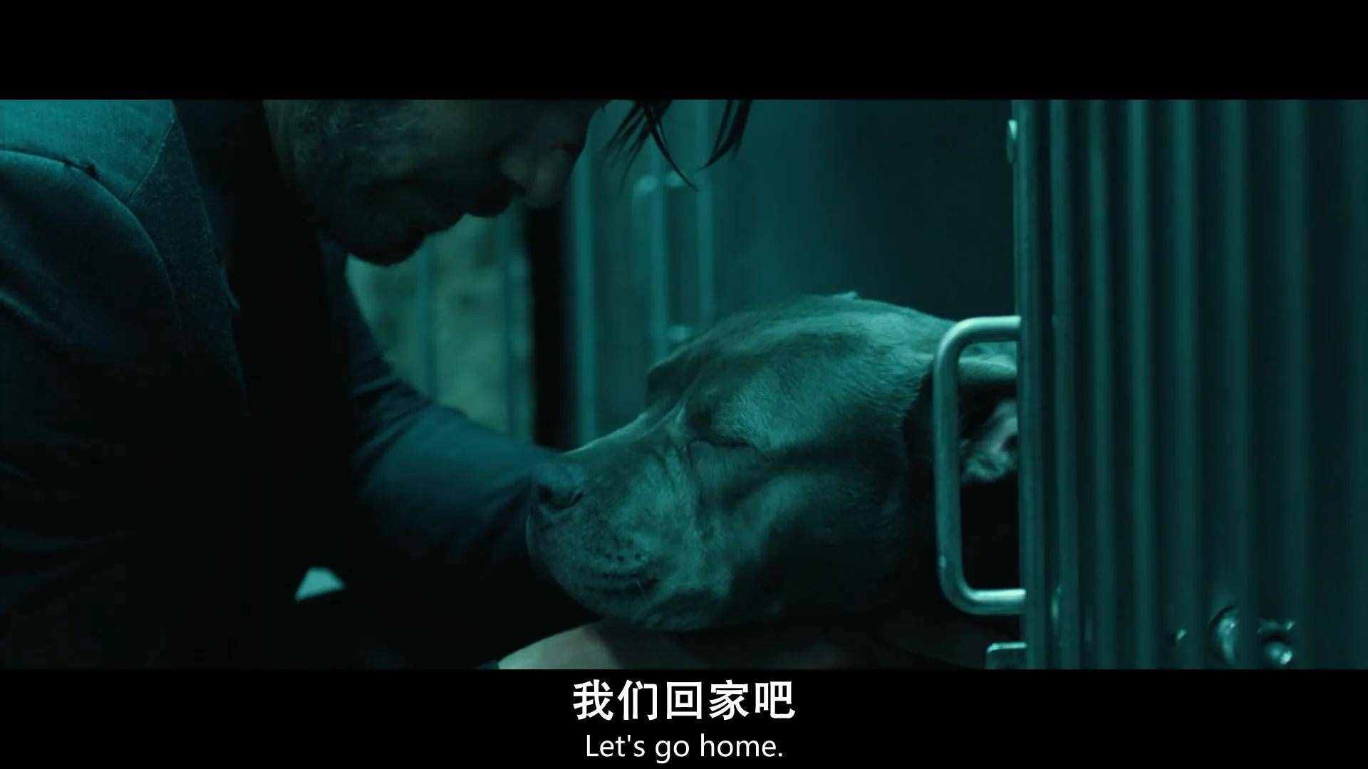 极限追杀2_极限追杀第四部_极限追杀4免费完整观看