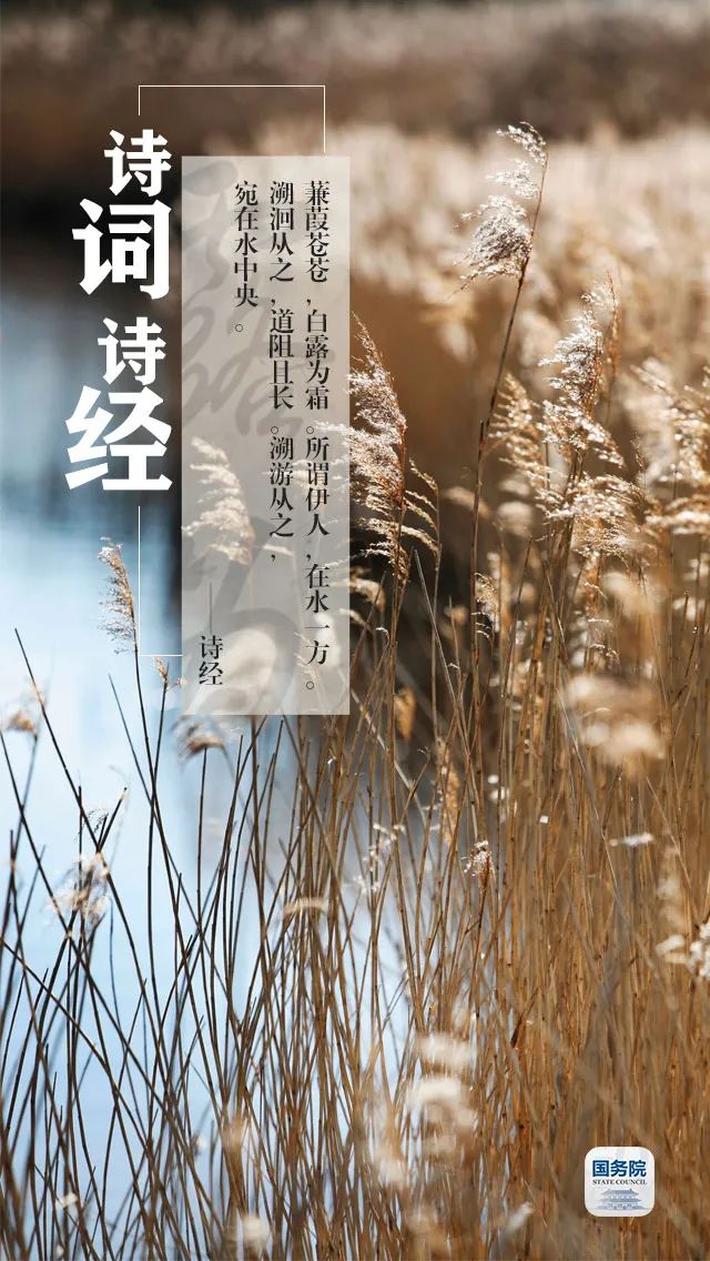 白露是什么时候_白露是什么时间几点几分_白露是在几月几日
