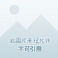 控制一个猫的闯关游戏_游戏猫咪控制手机怎么玩_手机游戏控制猫咪游戏