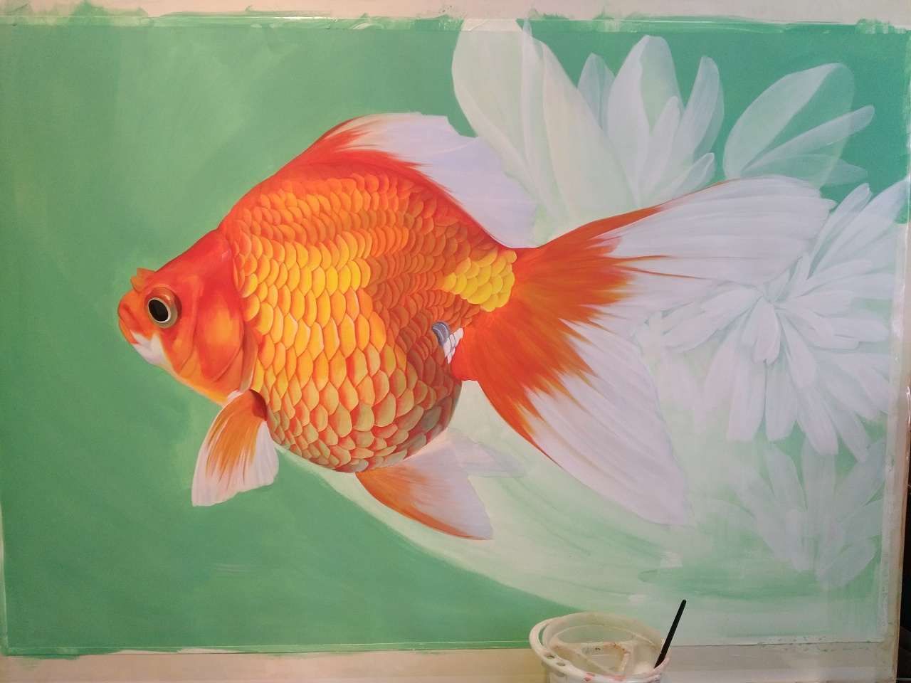 金鱼直播_金鱼直播改名了吗_金鱼直播间官网