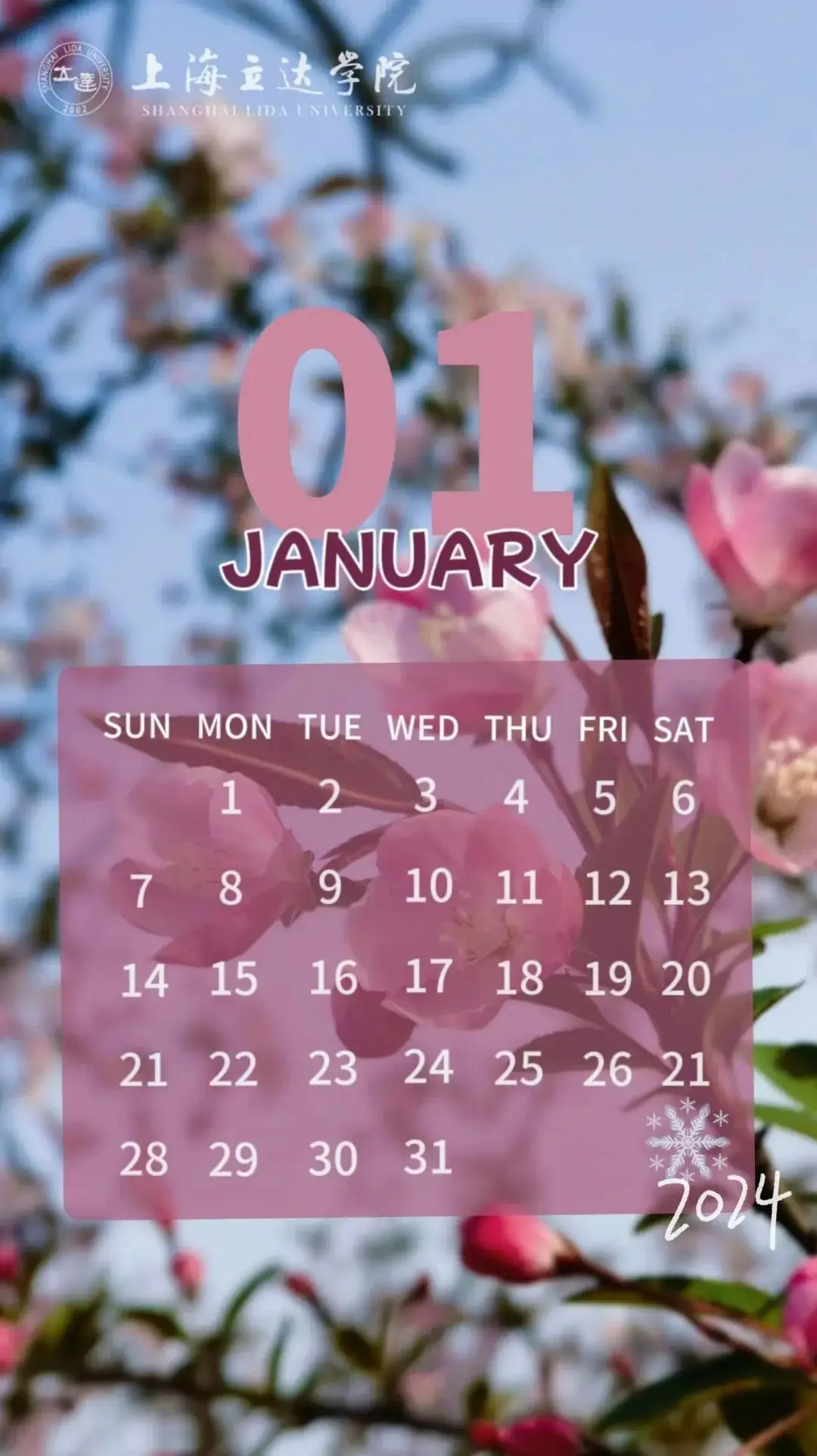 日历年和自然年_2018年日历_一个日历年