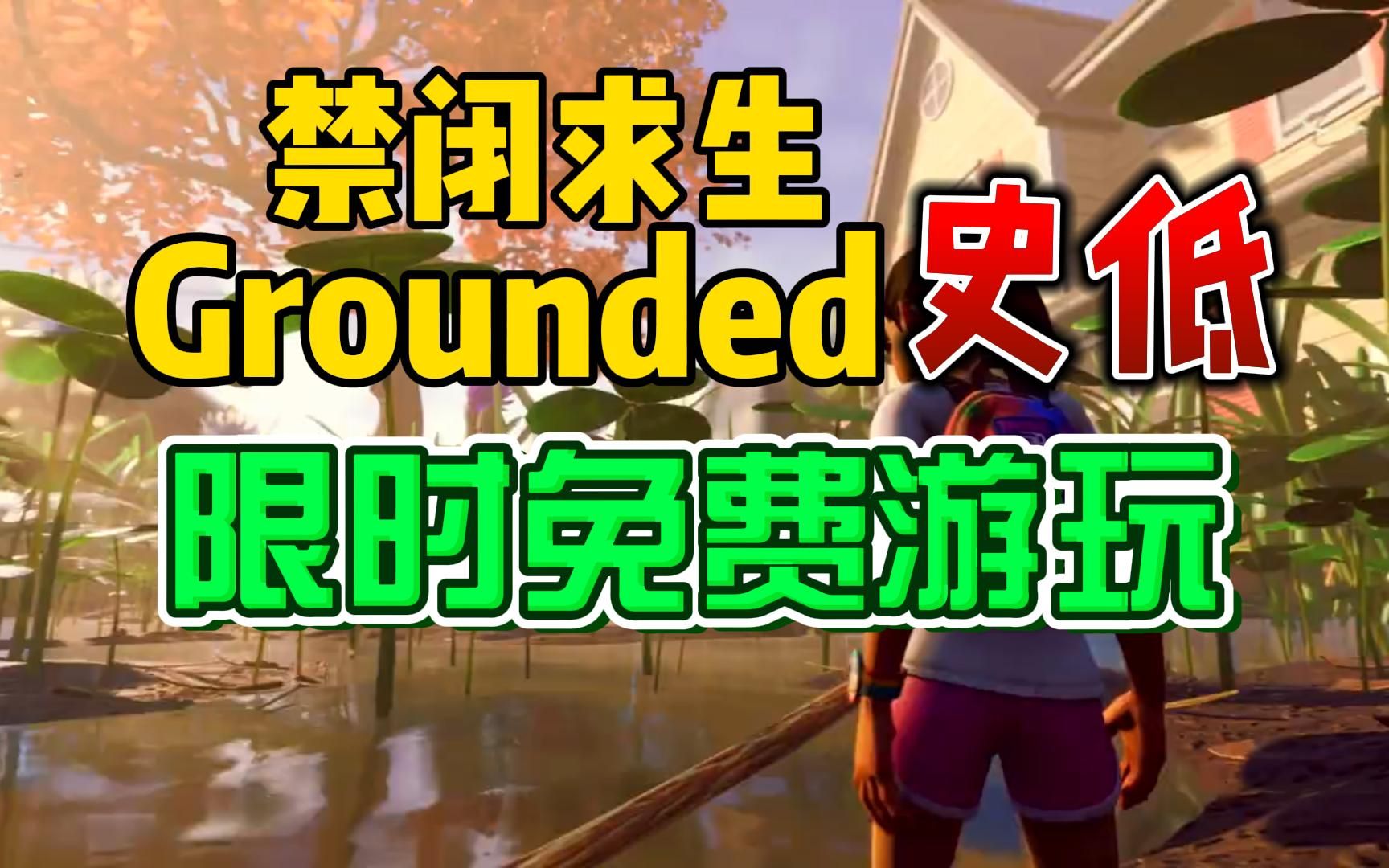 求生的联机游戏_手机求生类游戏联机小说_求生类的联机游戏