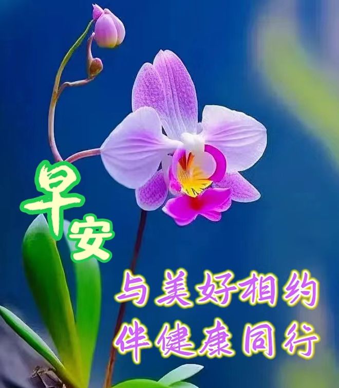 月经期间同房会怎么样_月经周期多少天为正常范围_9月10
