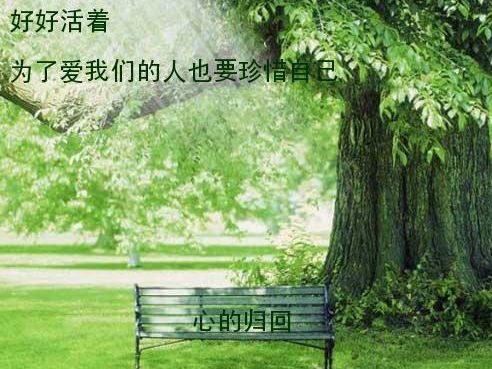 蠢蠢的死法手书_蠢蠢死法2_蠢蠢的死法