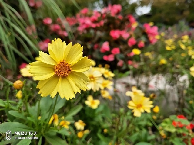 魅族MAX4por_魅族MAX_魅族max