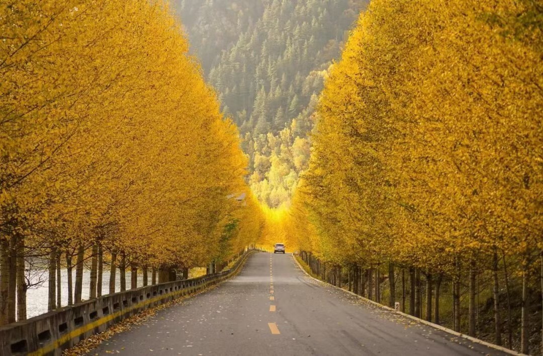 手机设计公路的游戏_公路类游戏_公路设计软件手机用的