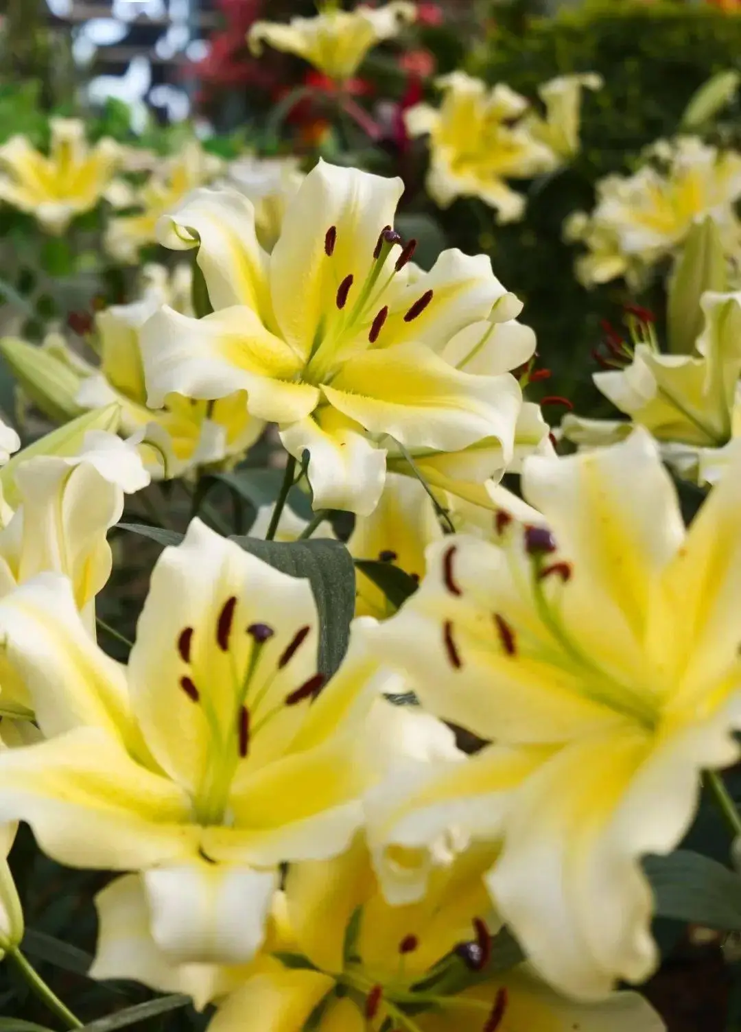 百合女_女女百合污小说_女女百合过程漫画