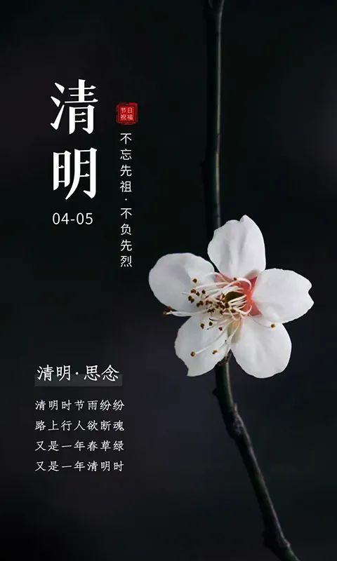 2005年日历-2005年，回忆与梦想交织，春风拂面，劳动者荣耀