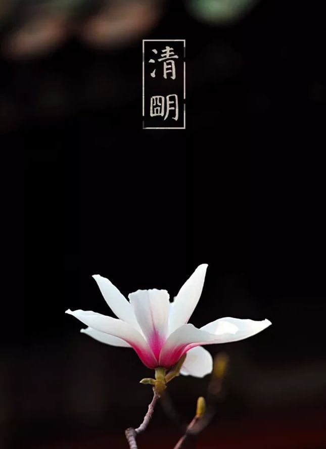 2005年日历_日历年2023_2024日历年