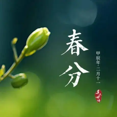 为这个美好的世界献上祝福_为世界上所有美好献上祝福_为世界上的美好献上祝福